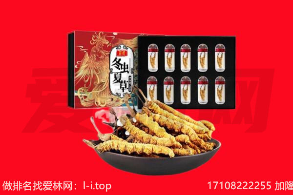 凉山州喜德回收虫草.jpg